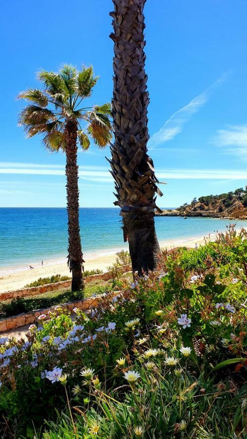 Sao Rafael Sun & Beach House Αλμπουφέιρα Εξωτερικό φωτογραφία